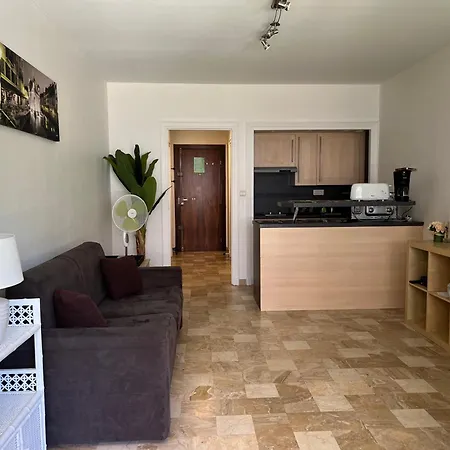 Centre-ville Avec Garage Et Loggia *